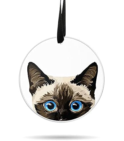 Amazon.com: 2025 Siamese Cat Christmas Ornament Keepsake,Siamese
